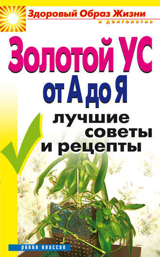 Золотой ус от А до Я. Лучшие советы и рецепты. 