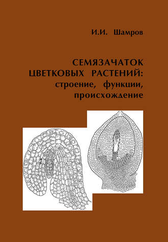 И. И. Шамров. Семязачаток цветковых растений: строение, функции, происхождение