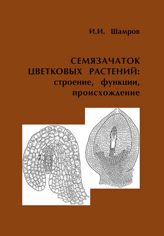Семязачаток цветковых растений: строение, функции, происхождение. И. И. Шамров