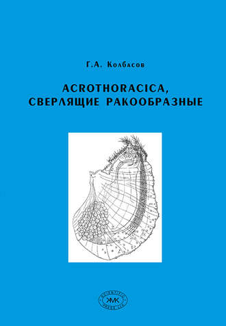 Acrothoracica, сверлящие ракообразные. Г. А. Колбасов
