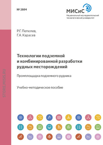 Технологии подземной и комбинированной разработки рудных месторождений. Роман Пепелев