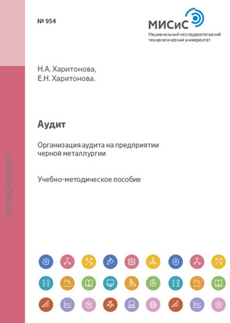 Аудит. Организация аудита на предприятии черной металлургии. Наталия Харитонова