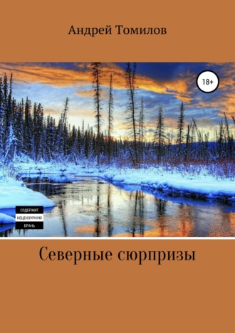 Северные сюрпризы. Андрей Андреевич Томилов