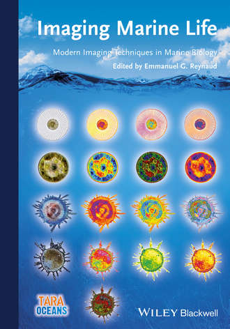 Emmanuel Reynaud G.. Imaging Marine Life. Macrophotography and Microscopy Approaches for Marine Biology