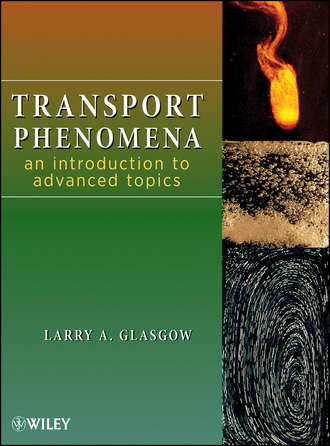 Larry Glasgow A.. Transport Phenomena. An Introduction to Advanced Topics