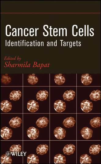 Sharmila Bapat A.. Cancer Stem Cells. Identification and Targets