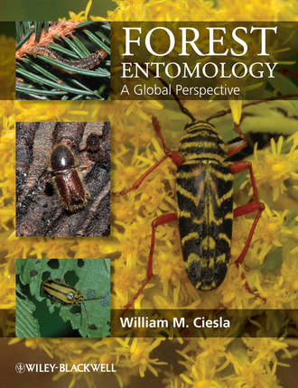 William  Ciesla. Forest Entomology. A Global Perspective
