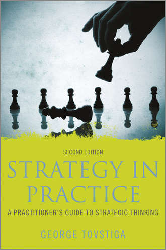 George  Tovstiga. Strategy in Practice. A Practitioner's Guide to Strategic Thinking