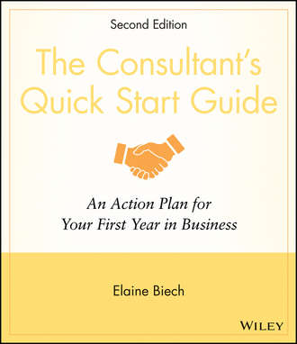 Elaine  Biech. The Consultant's Quick Start Guide. An Action Planfor Your First Year in Business