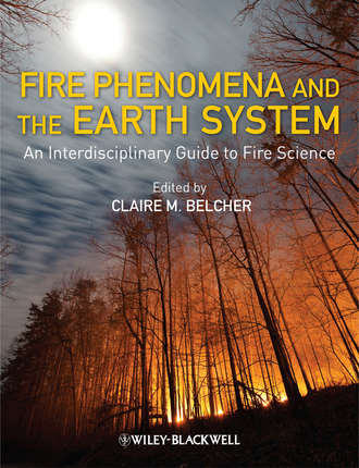 Claire Belcher M.. Fire Phenomena and the Earth System. An Interdisciplinary Guide to Fire Science