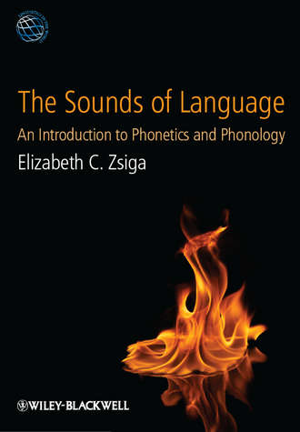 Elizabeth Zsiga C.. The Sounds of Language. An Introduction to Phonetics and Phonology