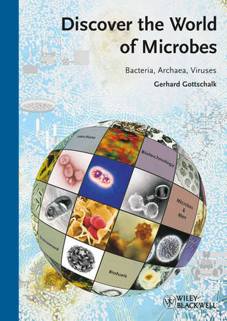 Gerhard  Gottschalk. Discover the World of Microbes. Bacteria, Archaea, Viruses