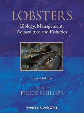 Bruce  Phillips. Lobsters. Biology, Management, Aquaculture & Fisheries
