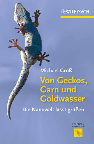 Michael  Gross. Von Geckos, Garn und Goldwasser. Die Nanowelt l?sst gr??en