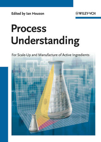 Ian  Houson. Process Understanding. For Scale-Up and Manufacture of Active Ingredients