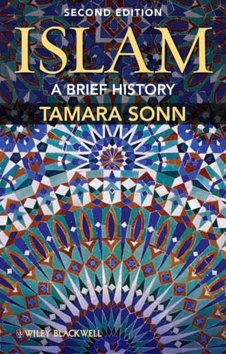 Tamara  Sonn. Islam. A Brief History