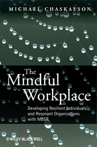 Michael Chaskalson. The Mindful Workplace. Developing Resilient Individuals and Resonant Organizations with MBSR