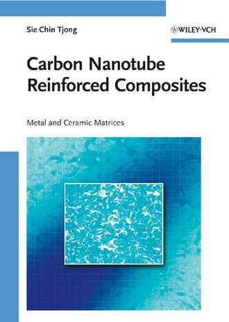 Sie Tjong Chin. Carbon Nanotube Reinforced Composites. Metal and Ceramic Matrices