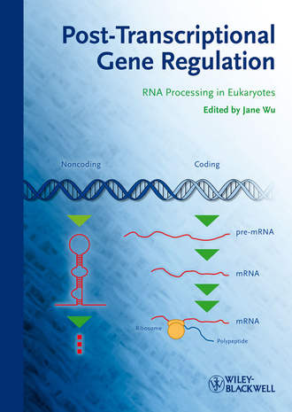 Jane  Wu. Post-Transcriptional Gene Regulation. RNA Processing in Eukaryotes
