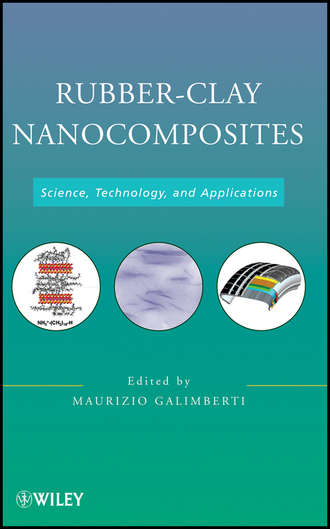 Maurizio  Galimberti. Rubber-Clay Nanocomposites. Science, Technology, and Applications