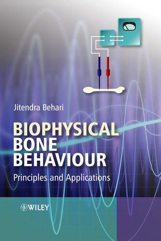Jitendra  Behari. Biophysical Bone Behaviour. Principles and Applications