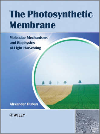 Alexander Ruban V.. The Photosynthetic Membrane. Molecular Mechanisms and Biophysics of Light Harvesting