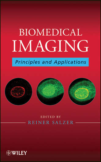 Biomedical Imaging. Principles and Applications. Reiner  Salzer