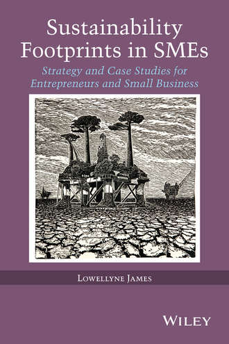 Sustainability Footprints in SMEs. Strategy and Case Studies for Entrepreneurs and Small Business. Lowellyne  James