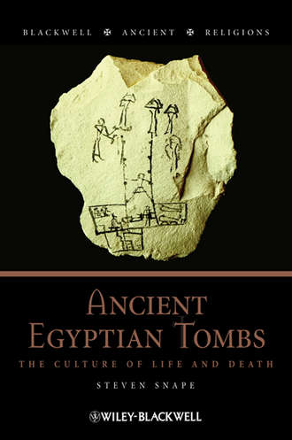 Steven  Snape. Ancient Egyptian Tombs. The Culture of Life and Death