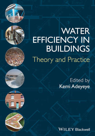 Kemi  Adeyeye. Water Efficiency in Buildings. Theory and Practice
