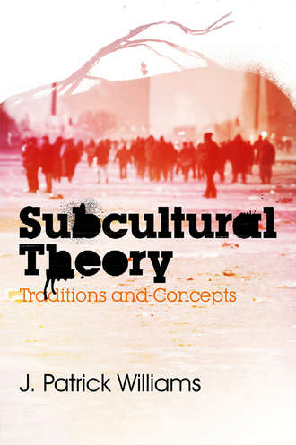 J. Williams Patrick. Subcultural Theory. Traditions and Concepts