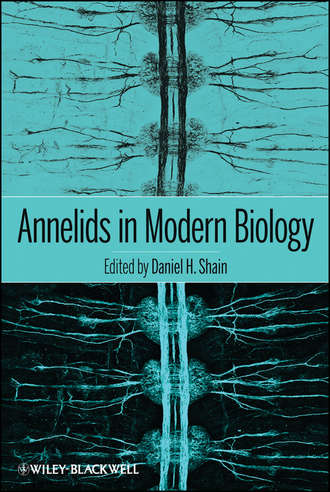 Daniel Shain H.. Annelids in Modern Biology