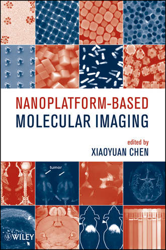 Nanoplatform-Based Molecular Imaging. Xiaoyuan  Chen