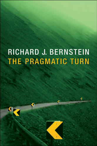 Richard Bernstein J.. The Pragmatic Turn