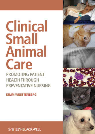 Kimm  Wuestenberg. Clinical Small Animal Care. Promoting Patient Health through Preventative Nursing