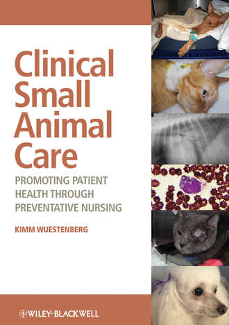 Clinical Small Animal Care. Promoting Patient Health through Preventative Nursing. Kimm  Wuestenberg
