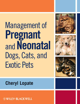 Cheryl  Lopate. Management of Pregnant and Neonatal Dogs, Cats, and Exotic Pets