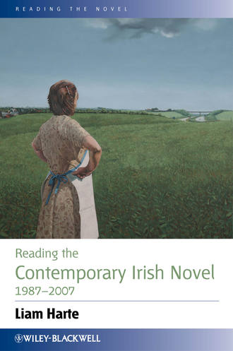 Liam  Harte. Reading the Contemporary Irish Novel 1987-2007