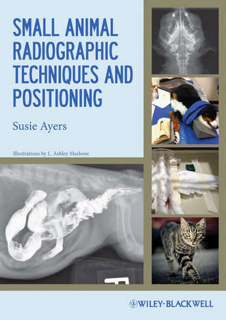 Susie  Ayers. Small Animal Radiographic Techniques and Positioning