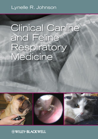 Clinical Canine and Feline Respiratory Medicine. 