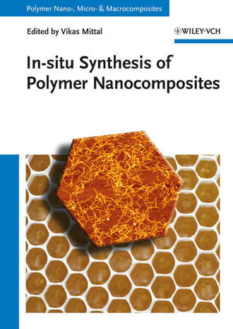 Vikas  Mittal. In-situ Synthesis of Polymer Nanocomposites