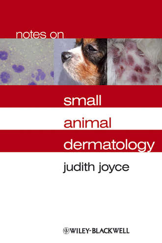 Judith  Joyce. Notes on Small Animal Dermatology