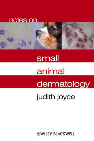 Notes on Small Animal Dermatology. Judith  Joyce