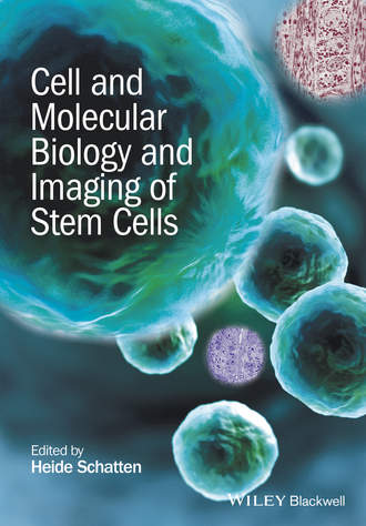 Cell and Molecular Biology and Imaging of Stem Cells. Heide  Schatten