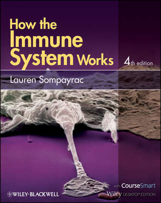 Lauren Sompayrac M.. How the Immune System Works