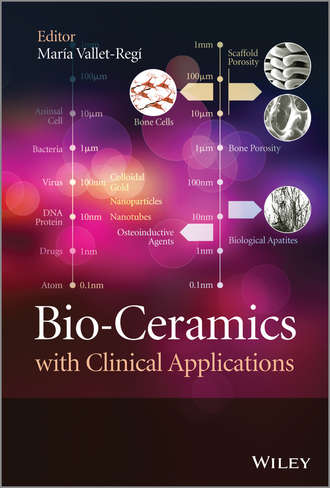 Maria  Vallet-Regi. Bio-Ceramics with Clinical Applications