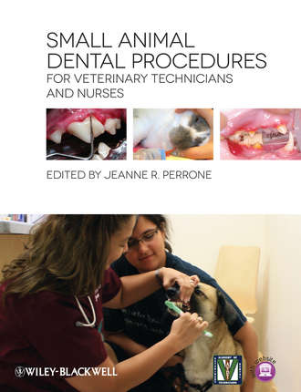 Jeanne Perrone R.. Small Animal Dental Procedures for Veterinary Technicians and Nurses