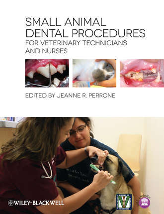 Small Animal Dental Procedures for Veterinary Technicians and Nurses. Jeanne Perrone R.