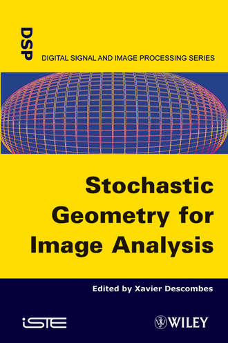 Xavier  Descombes. Stochastic Geometry for Image Analysis