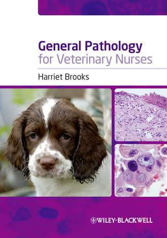 Harriet  Brooks. General Pathology for Veterinary Nurses